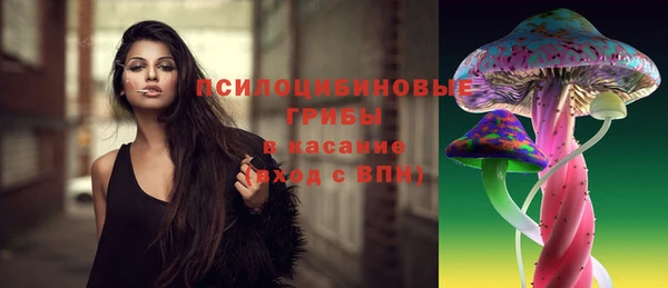 скорость mdpv Белокуриха