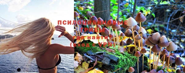 скорость mdpv Белокуриха