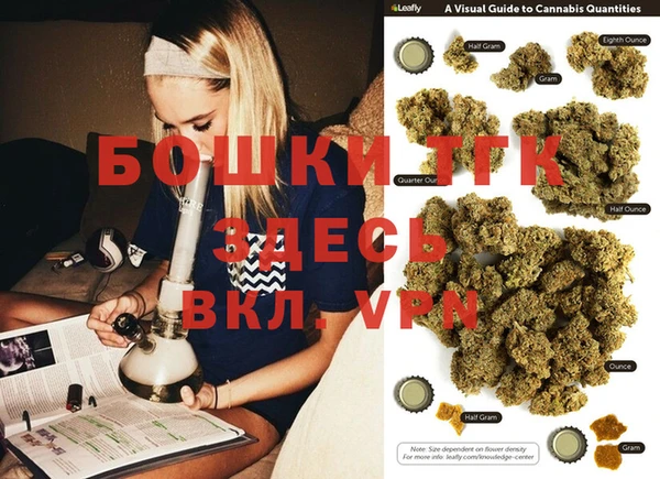 гашиш Богданович