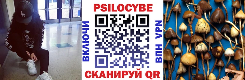 закладка  Михайлов  Галлюциногенные грибы прущие грибы 